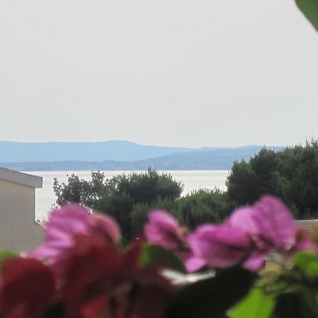 Apartments Villa Violet Zadar Extérieur photo